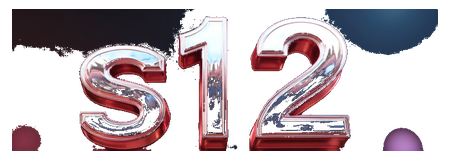s12 logo